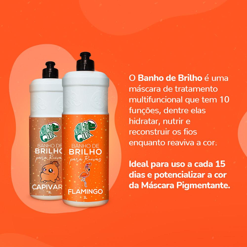 Banho de Brilho Para Ruivas da Kamaleão Color– Carpa 1l